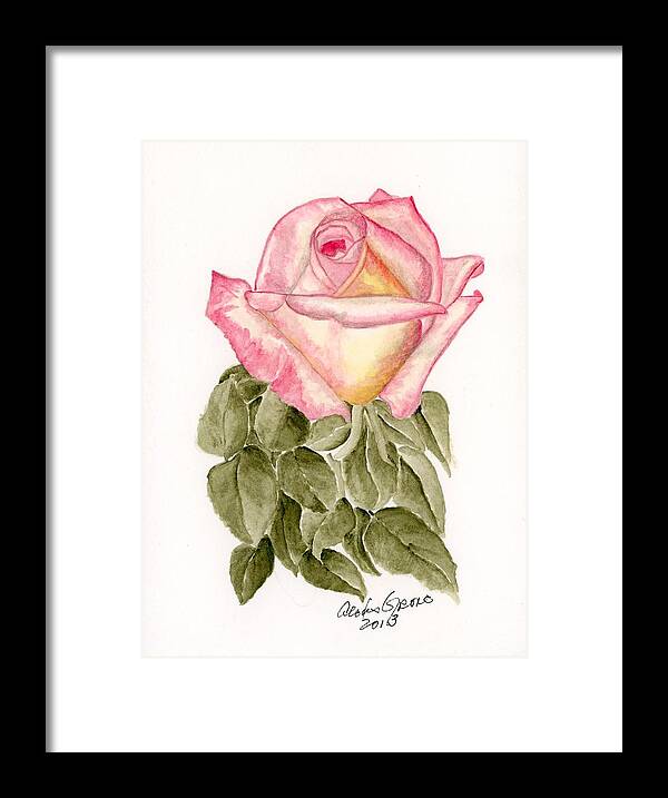 Peace Rose Framed Print featuring the painting Peace Rosebud by Alexis Grone