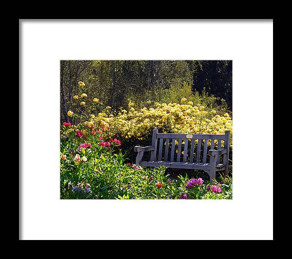 Flowers Framed Print featuring the photograph Peaceful by Amy Fose
