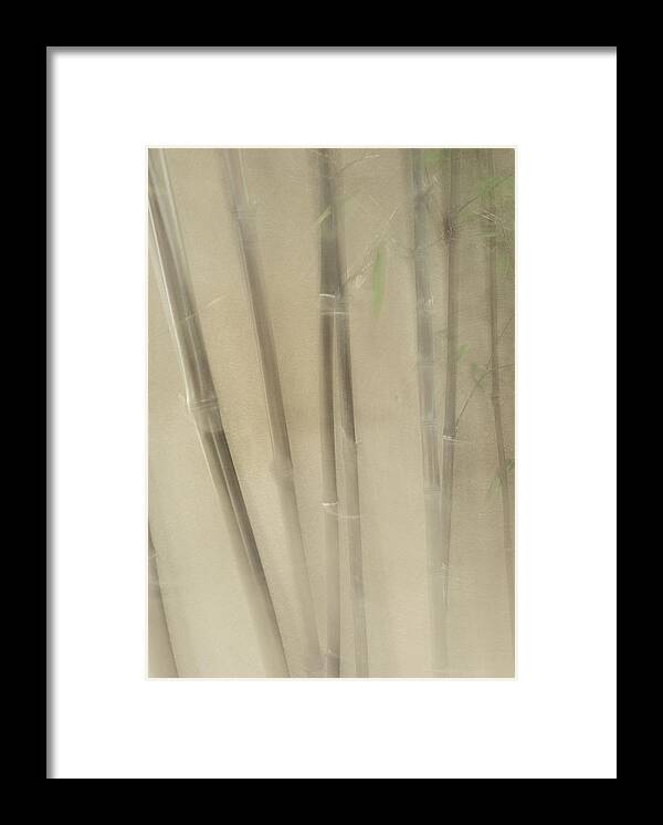 Bamboo Framed Print featuring the photograph Peaceful Bamboo by Lynn Wohlers