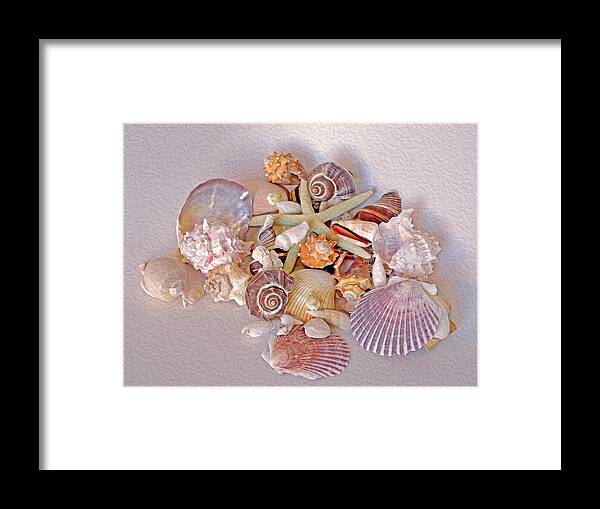 Shells Framed Print featuring the photograph Peaceful Coexistence by Lynda Lehmann