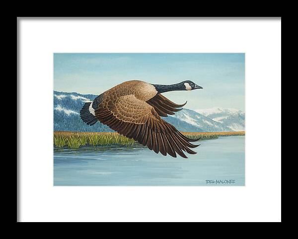 Canada Goose Framed Print featuring the painting Peaceful Flight by Del Malonee