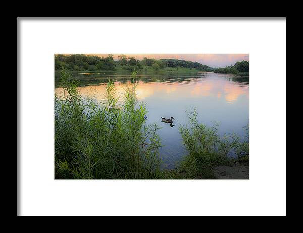 Lake Framed Print featuring the photograph Peaceful Lake by Tracey Rees