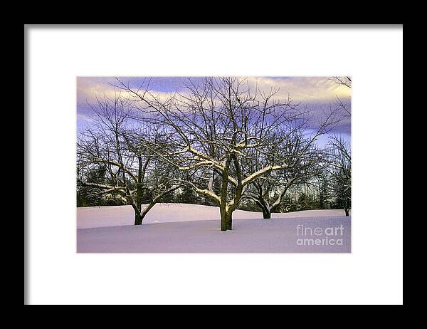 Linda Drown Framed Print featuring the photograph Peaceful by Linda Drown