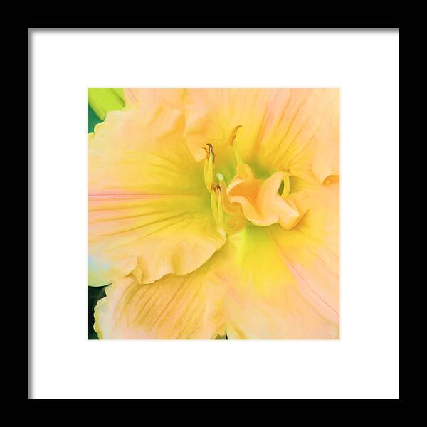 Lily Framed Print featuring the digital art Peach Lily by Sand And Chi