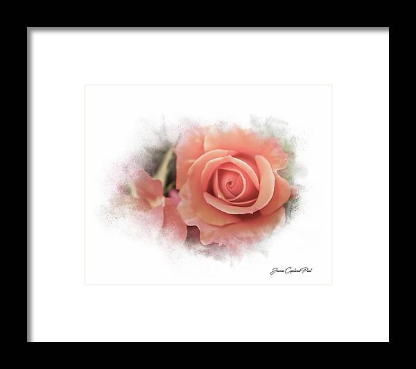 Peach Rose Framed Print featuring the photograph Peach Perfection by Joann Copeland-Paul