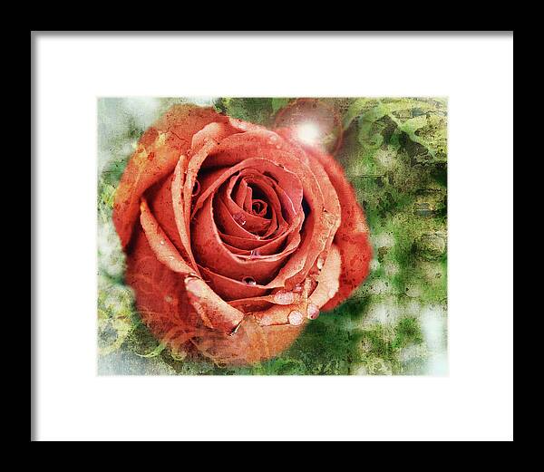 Texture Framed Print featuring the photograph Peach Rose by Sennie Pierson