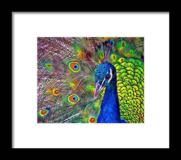Peacock Framed Print featuring the digital art Peacock Portrait by Anastasia Savage Ealy