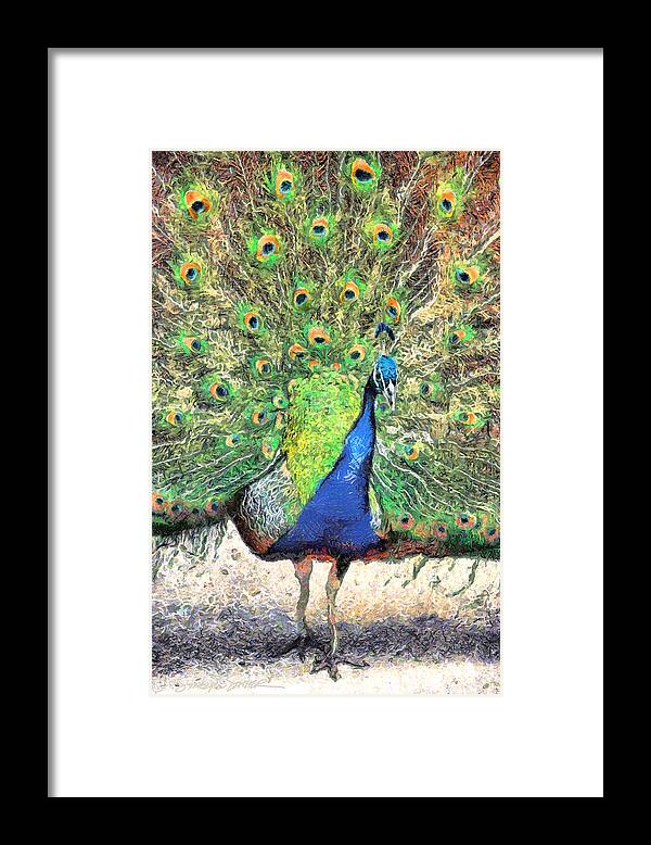 Peacock Framed Print featuring the photograph Peacock by Stacey Sather