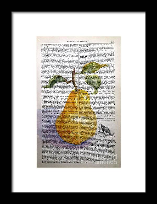 Pear Framed Print featuring the painting Pear on Antique Paper by Maria Hunt