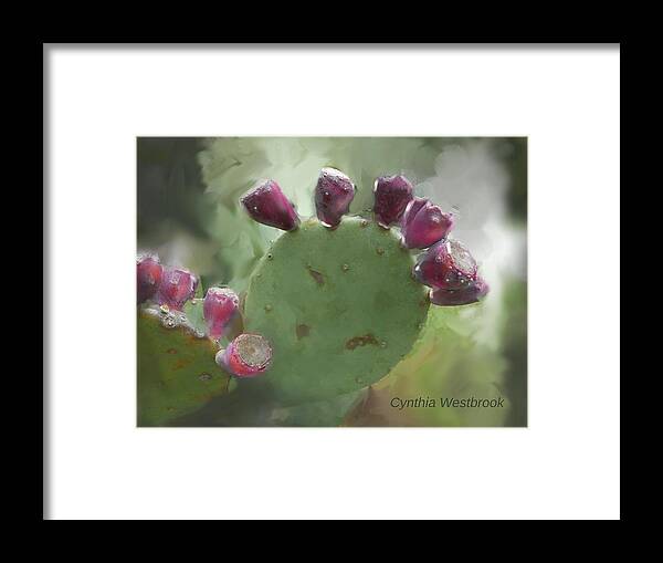 Cactus Framed Print featuring the photograph Pear Tunas by Cynthia Westbrook