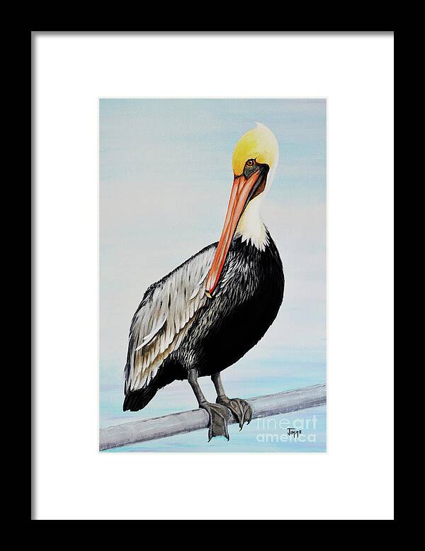 Pelican Framed Print featuring the painting Pelican At The Marina by Jimmie Bartlett