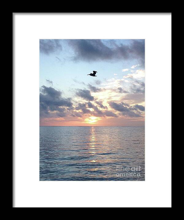Pelican Framed Print featuring the photograph Pelican Dawn by Barbara Von Pagel