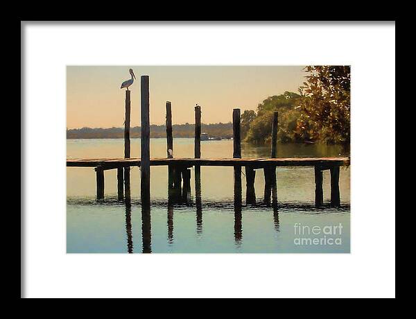 Australian White Pelican Framed Print featuring the photograph Pelican on post by Sheila Smart Fine Art Photography