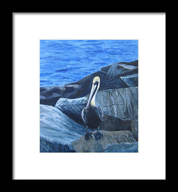 Pelican Framed Print featuring the painting Pelican On The Rocks by Paula Pagliughi