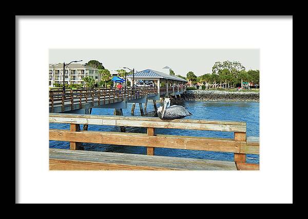 Travel Framed Print featuring the photograph Pelican Roost At Pier by Jan Gelders