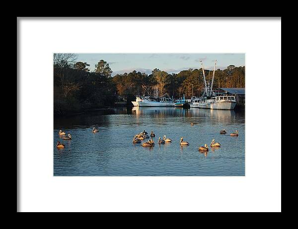 Alabama Framed Print featuring the digital art Pelicans and Shrimp Boats by Michael Thomas