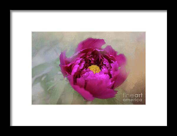 Peony Framed Print featuring the photograph Peony by Eva Lechner