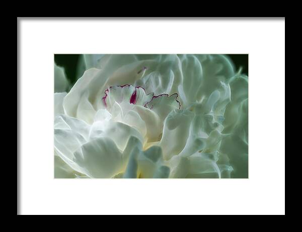 Peony Framed Print featuring the photograph Peony Flower Energy by Beth Venner
