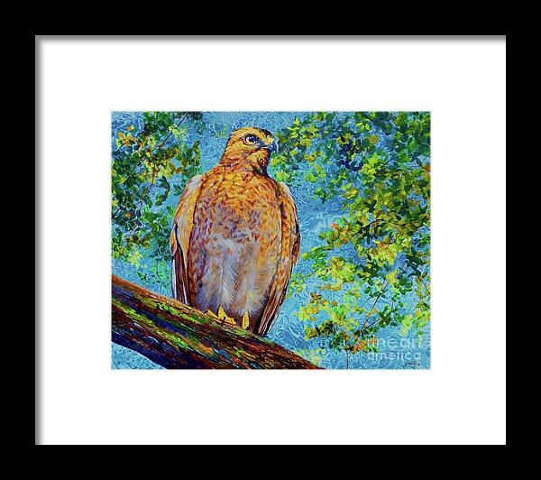 Brevard County Framed Print featuring the painting Perched Hawk by AnnaJo Vahle