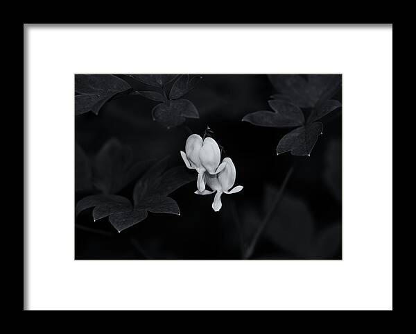  Framed Print featuring the photograph Perfect Couple by Dan Hefle