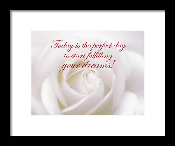 Rose Framed Print featuring the photograph Perfect Day For Fulfilling Your Dreams by Johanna Hurmerinta