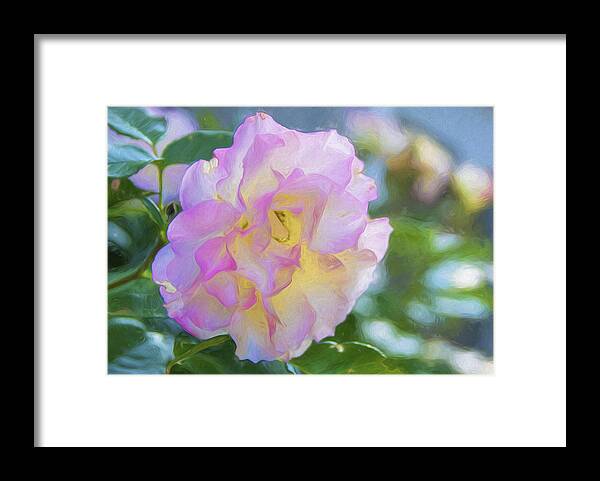 Rose Framed Print featuring the photograph Perfect Imperfection by Cathy Kovarik