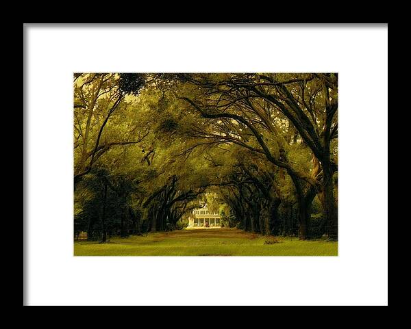Charleston Framed Print featuring the photograph Perplexing Plantation by Sherry Kuhlkin