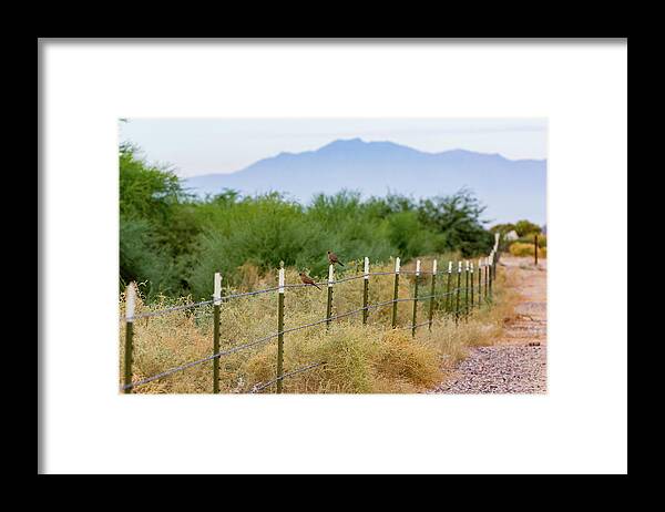 Perspective Framed Print featuring the photograph Perspective by Douglas Killourie