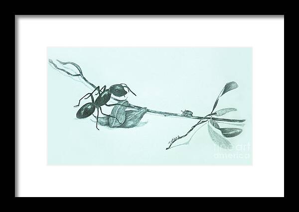 Ant Framed Print featuring the drawing Perspective by Terri Mills