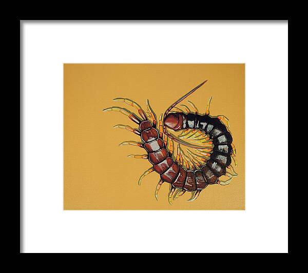 Centipede Framed Print featuring the painting Peruvian Centipede by Jude Labuszewski