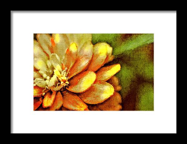 Flower Framed Print featuring the photograph Petals by Reynaldo Williams