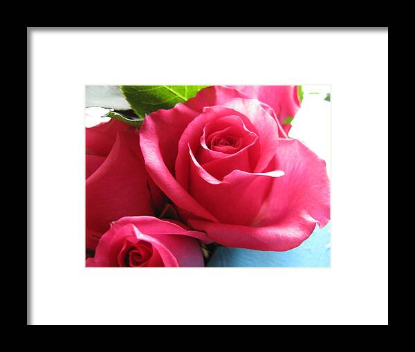 Pink Framed Print featuring the photograph Petals XLiii by Lindie Racz