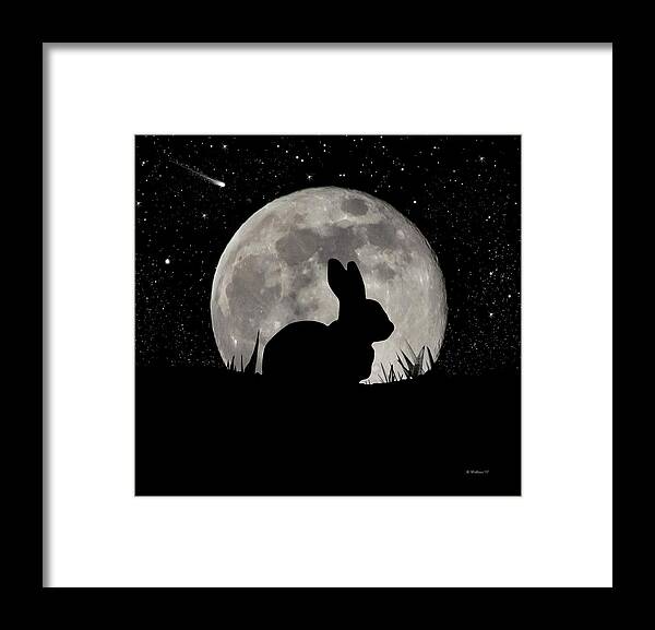 2d Framed Print featuring the digital art Peter Cottontail by Brian Wallace