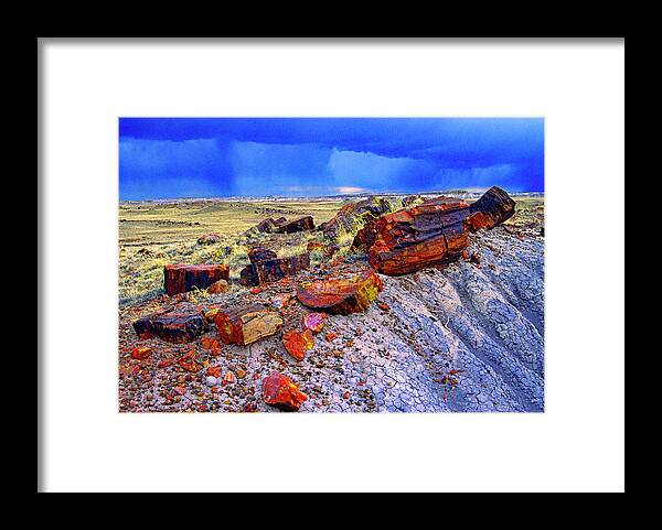 Usa Framed Print featuring the photograph Petrified Forest National Park by Gary Corbett