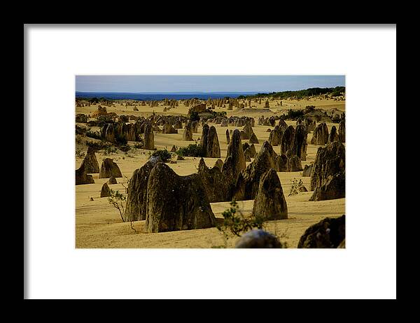 Landscapes Framed Print featuring the photograph Petrified Forrest by Mark Egerton