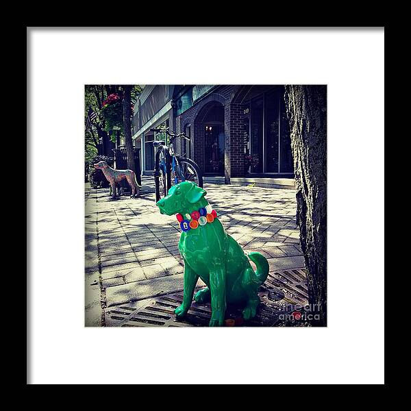 Photography Framed Print featuring the photograph Pets on Parade by Frank J Casella