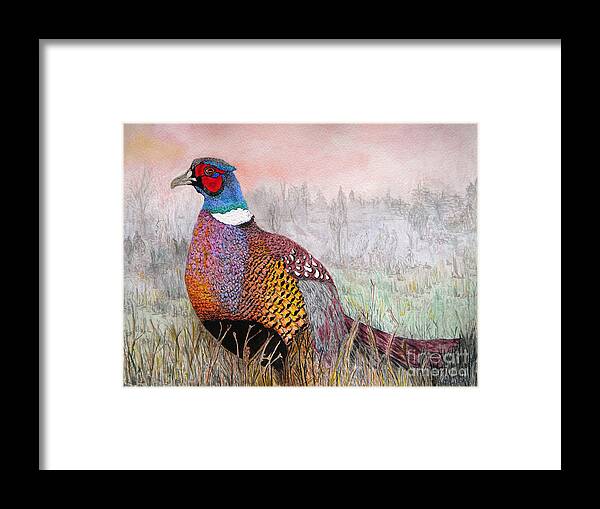 Pheasant Framed Print featuring the painting Pheasant Dawn by Yvonne Johnstone