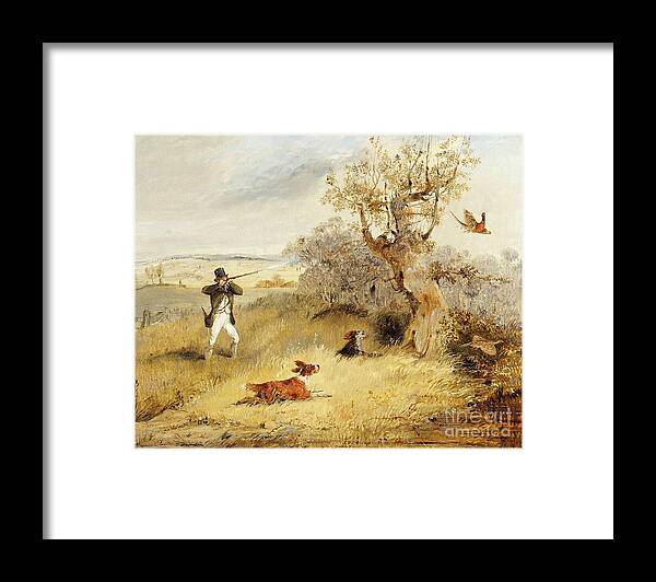 Pheasant Framed Print featuring the painting Pheasant Shooting by Henry Thomas Alken
