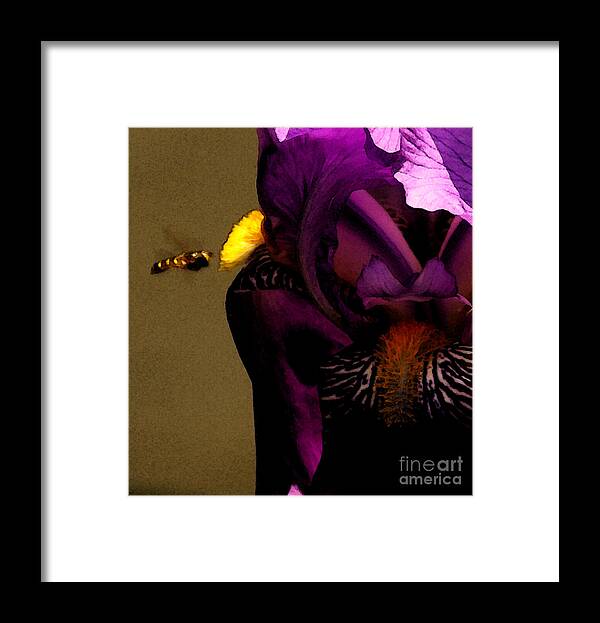 Bee Framed Print featuring the photograph Pheromone by Linda Shafer
