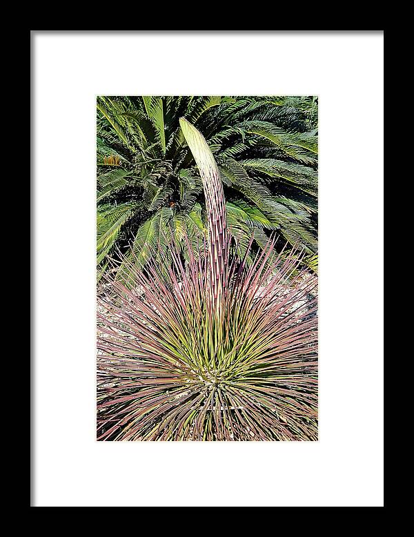 Phoenix Framed Print featuring the photograph Phoenix Spire by Robert Meyers-Lussier