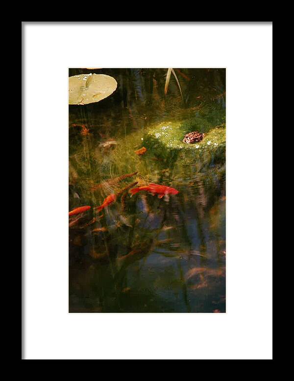 Abstract Framed Print featuring the photograph Photo Bomber by Susan Esbensen