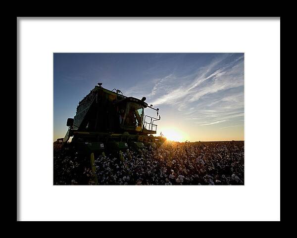 Ag Framed Print featuring the photograph Picker Lookin Up by David Zarecor
