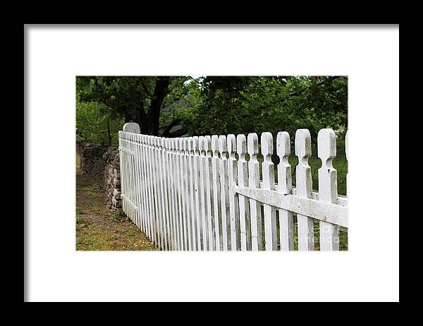  Picket Fence Delight Framed Print featuring the photograph Picket Fence Delight by Carol Riddle