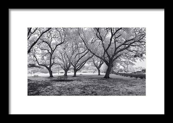Black And White Framed Print featuring the photograph Picnic Bench Dream by Sean Davey