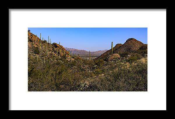 Gate’s Pass Framed Print featuring the photograph Picture Rocks 24 by Mark Myhaver