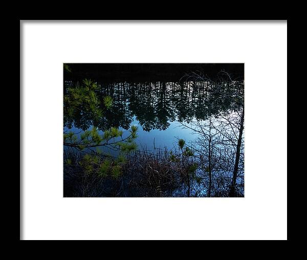  Framed Print featuring the photograph Pine Barren Reflections by Louis Dallara