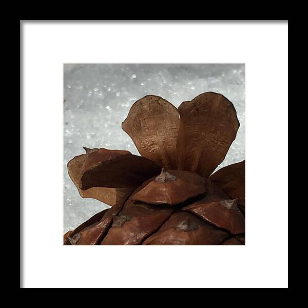 Pine Cone Framed Print featuring the photograph Pine Cone Heart by Vonda Drees