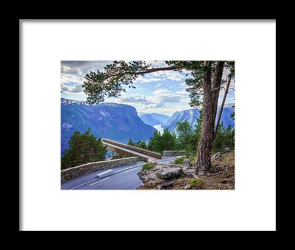 Aurland Framed Print featuring the photograph Pine on Stegastein by Dmytro Korol