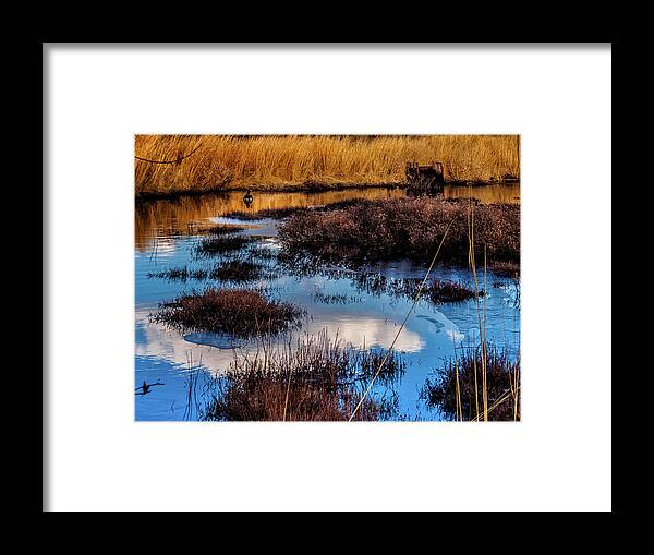 Landscape Framed Print featuring the photograph Pineland Cloud Reflections by Louis Dallara