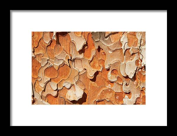 Abstract Framed Print featuring the photograph Pining for a Jig-Saw Puzzle by Marilyn Cornwell